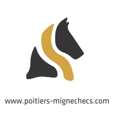 Echecs sur Poitiers et Grand Poitiers . Initiation et Perfectionnement - Loisir et Compétition.  Contact : club@poitiers-mignechecs.com