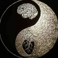 julek.eth (@midwitme29) 's Twitter Profile