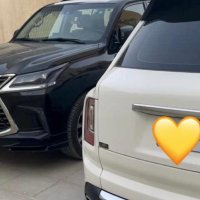 ابوزياد💛💛NN3344 (@nn33448) 's Twitter Profile