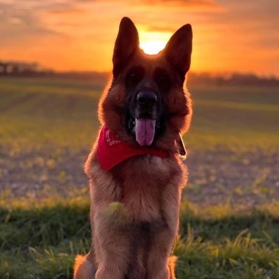 ClosetopM33's profile picture. 