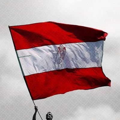 Gundisalv's profile picture.