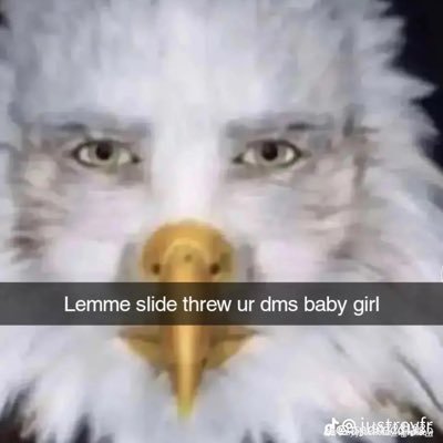 ARIA BANK$ on Twitter: "I’m playing Hogwarts Legacy on twitch rn! https