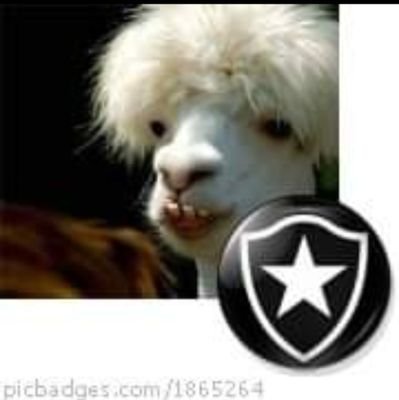 Luiz Eduardo ★彡 Profile