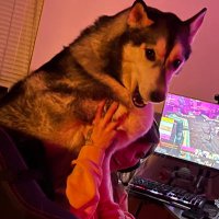 Morgan Johnston (@etchirae) 's Twitter Profile