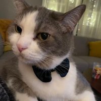 itskelseymiller (@kelcium21) 's Twitter Profile
