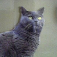 ugot2bgood (@marthaalberts17) 's Twitter Profile Photo ugot2bgood (@marthaalberts17) 's Twitter Profile Photo