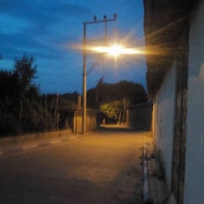 ChicagoOhland's profile picture. Pilot sheep drive 🛳