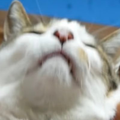 𝟙𝟘𝟛𝟜さんのプロフィール画像