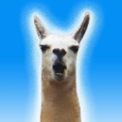the llamaさんのプロフィール画像