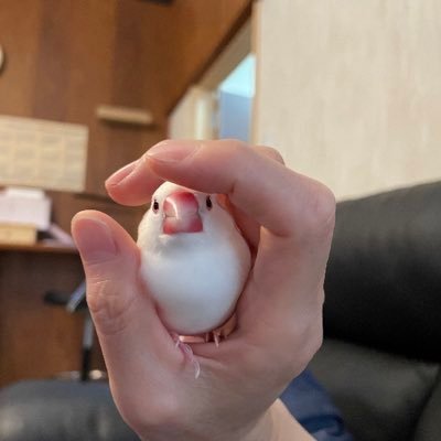 MATTUSUPARO's profile picture. 