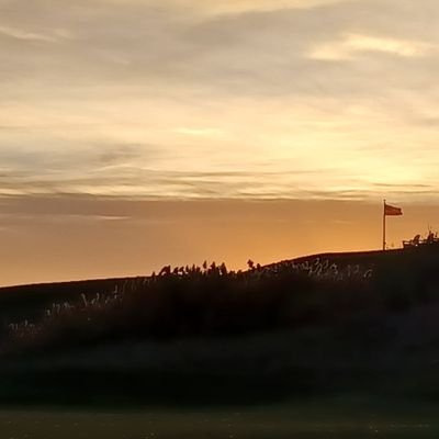 Tim Irving Profile