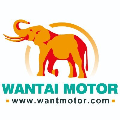 WANTAI Motor, specializing in manufacturing Stepper Motor, DC Brushless Motor, Stepper Geared Motor, Servo Motor, Motor Driver and Control system.