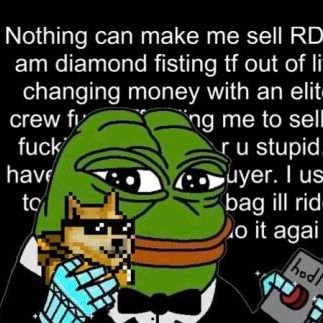 proud owner of @realdogepunks #3804 | owner of @dogedickbutts #1830 | searching for the best dogechain defi |