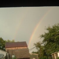 Deb Crossin (@deb_in_pa) 's Twitter Profile