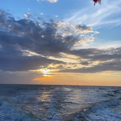 travelbuggy8's profile picture. 