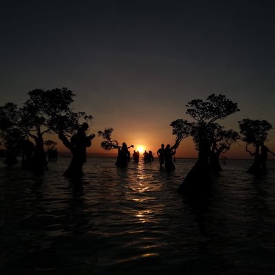 Adhyxblood's profile picture. https://t.co/F5km3SAUAU