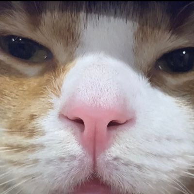lkjh98762's profile picture. A Christian disciple for more than 10 years and a Wall Street investment master, I studied in the United States in my early years.