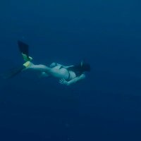 Birdie (@ky_bird) 's Twitter Profile