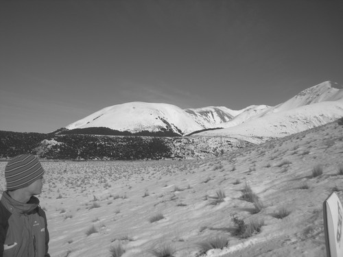 samoakden's profile picture. 