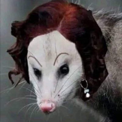 ValakTuita's profile picture. 