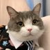 Phil564 (@phii564) Twitter profile photo Phil564 (@phii564) Twitter profile photo