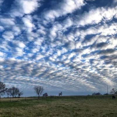 Married female, critical skywatcher. Have you looked up lately? We live under a completely manufactured sky and it is killing everyone and everything.