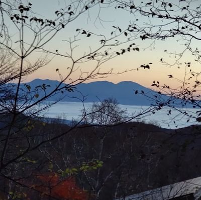 TanyBoy47's profile picture. 前期高齢者で半分リタイアした医師です。安倍総理の非業の死に接し、例えようも無い絶望の中にいます。安倍総理が「冬に蒔いた種が」「花咲く日」を見るまで頑張りたい。