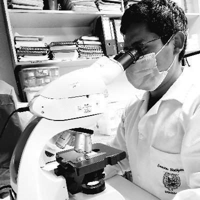 JoseLuisDarwin's profile picture. Bachelor of Science in Biology at @UNMSM_ | Hidrobiology-Marine Biology🌊| Plankton researcher of freshwater ecosystems🔬| Studying Microalgaes🔍