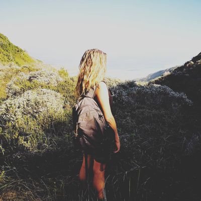 annieleroux1's profile picture. Artist Mystic Poet Fool & Maker of Useless Things.