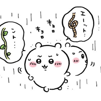 SInuxr's profile picture. shiba inuXR