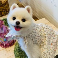 NICO☺︎ (@nico25happynico) Twitter profile photo