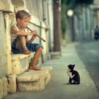 Amir Shahzad (@amirsha30566902) 's Twitter Profile