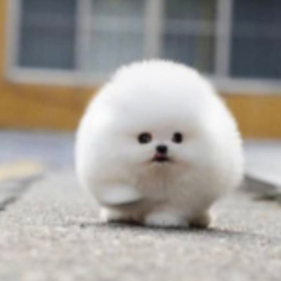 clitastickilla's profile picture. $$$ up no funnies 👹#slutty #shameful #sexy #sugarmommy #stoner #stoneybaloney #boner