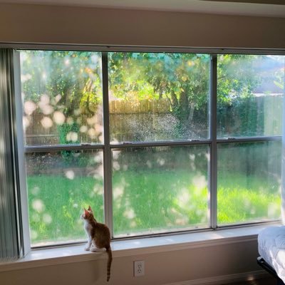 sonoyurin's profile picture. スピッツファン歴は長めですが、最近子育てがひと段落し再び深い沼に落ちています💛