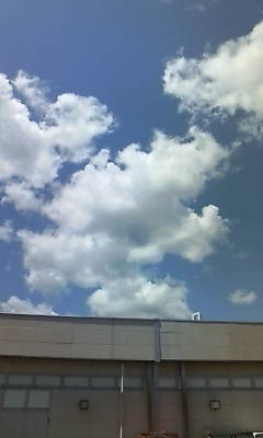 SAKI（yosa）｜WEBデザイナーになる