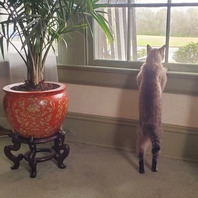 ~🌻MommaDemTrippenHard🌻~ Profile