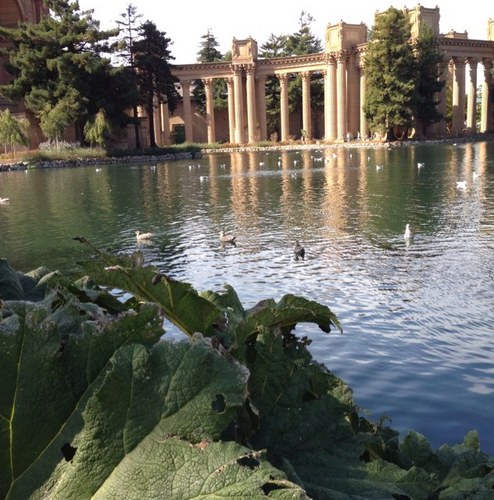 Anyfreeman's profile picture. 