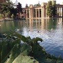 Nick Freeman - @Anyfreeman - Twitter