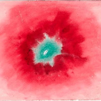 hitokototen's profile picture. ANELSANTO | RONGO HONEY | SUTA | neuf