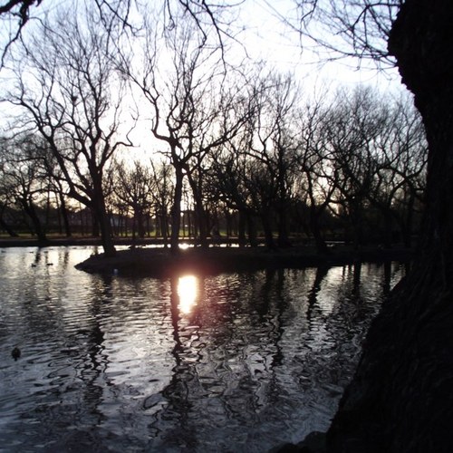 LMetcalfe01's profile picture. 