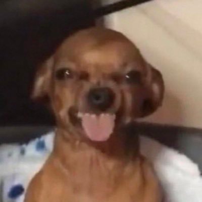 Chikago73's profile picture. MOSTLY HERE TO READ THE COMMENTS🧐🦋