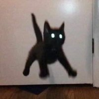 Sliji (@_sliji_) 's Twitter Profile