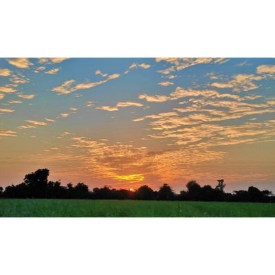 shalinsk46's profile picture. 