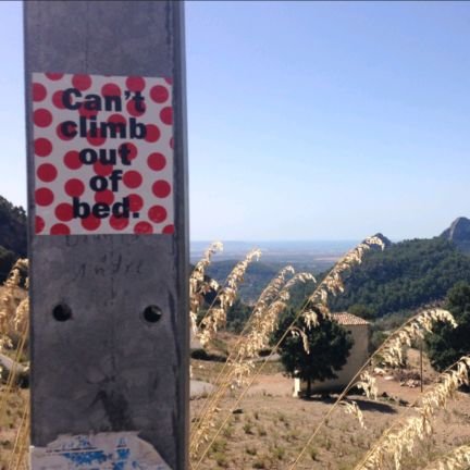 markusnutz's profile picture. irgendwas mit daten