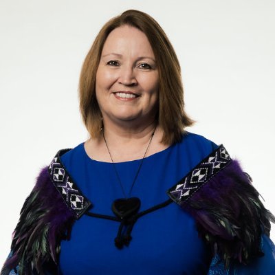 Councillor Manurewa-Papakura Ward
Deputy Chair Planning, Environment and Parks Committee
Expenditure Control & Procurement
CCO Direction and Oversight