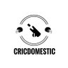 CricDomestic_'s profile picture. All about Indian Domestic Cricket |Scouting/Players' Recruitment | Follow us on YouTube channel 👇