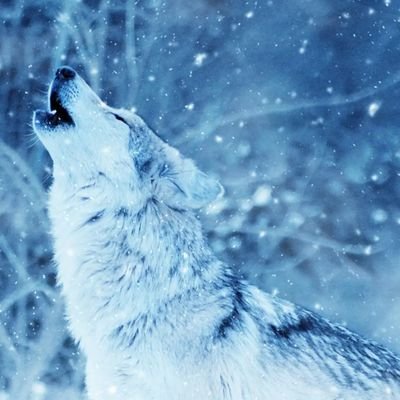 Grand38Dcups's profile picture. If we meet , that's my wait.
if we miss, that's my fate.