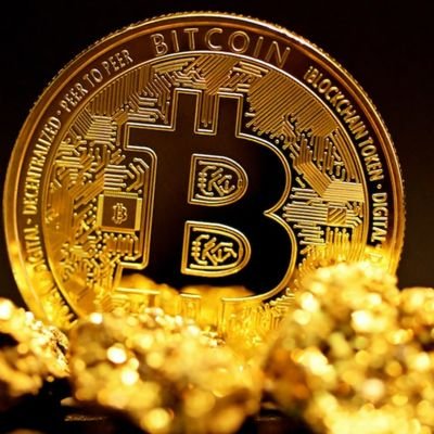 Crypto_SRDC's profile picture. 