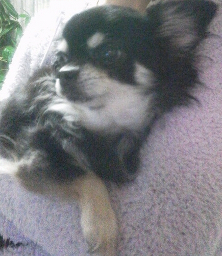 eikoo0's profile picture. のんびり屋