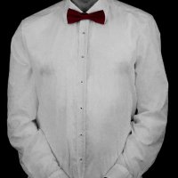 かーぬ Kay-Nut (@kaynut7) Twitter profile photo